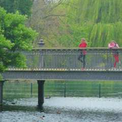 compo20220611 (Reminiscencia)