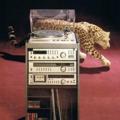 HOUSE FEVER (Chill House Mix)