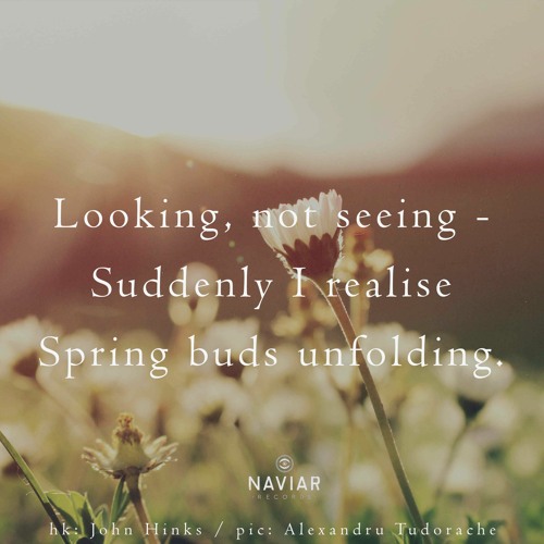 haiku #425: Looking, not seeing – / Suddenly I realise / Spring buds unfolding.