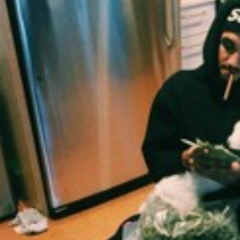 doing 110 on the 110 (fakemink + fenix flexin)