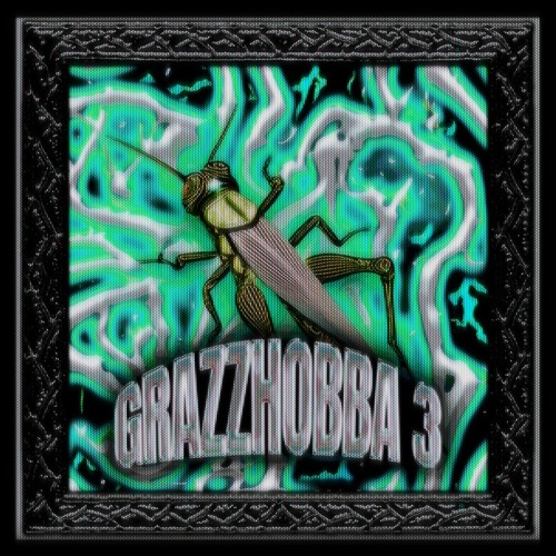 GRAZZHOBBA 3.0