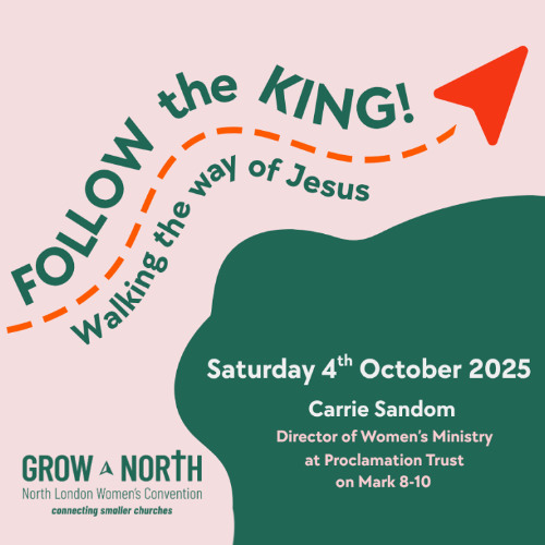 Grow North 2025 - Interview with Abi Stead