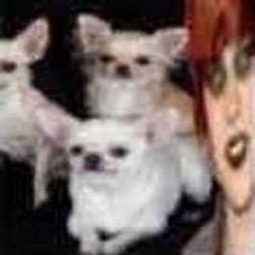 joshu joshu hola prod nulko