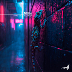 Noda - What U Want (Original Mix)