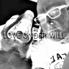 LOVE UNDER WILL 12 STRING VERSION(instrumental)