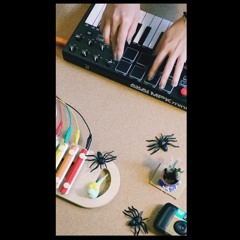 bugni-Fire