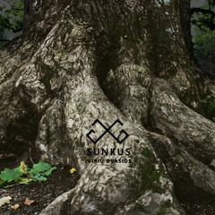 Tankuma