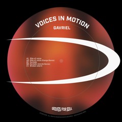 GAVRIEL - Broken Alarm [GFS008]