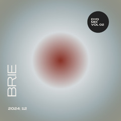 DYD MIX #02 - BRIE (ELECTRO MIX)