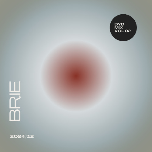 DYD MIX #02 - BRIE (ELECTRO MIX)