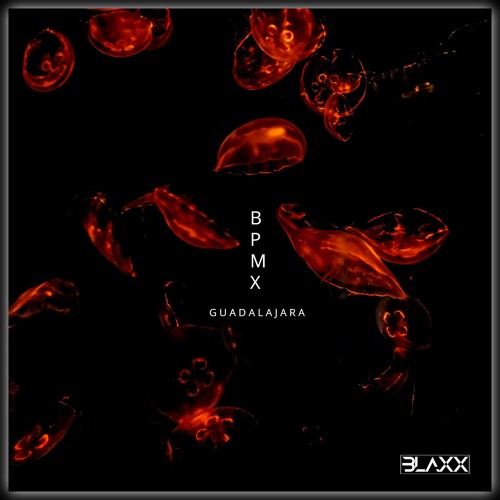 BPMX Guadalajara | DJ Set