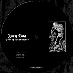 JOEY BOA - Synaptic Resonance [II234D]