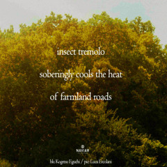 the heat of farmland roads [naviarhaiku603]