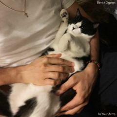 All You Need Is Just A Cup Of Tea