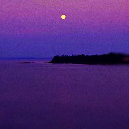 Color of the Night (Jam Session)