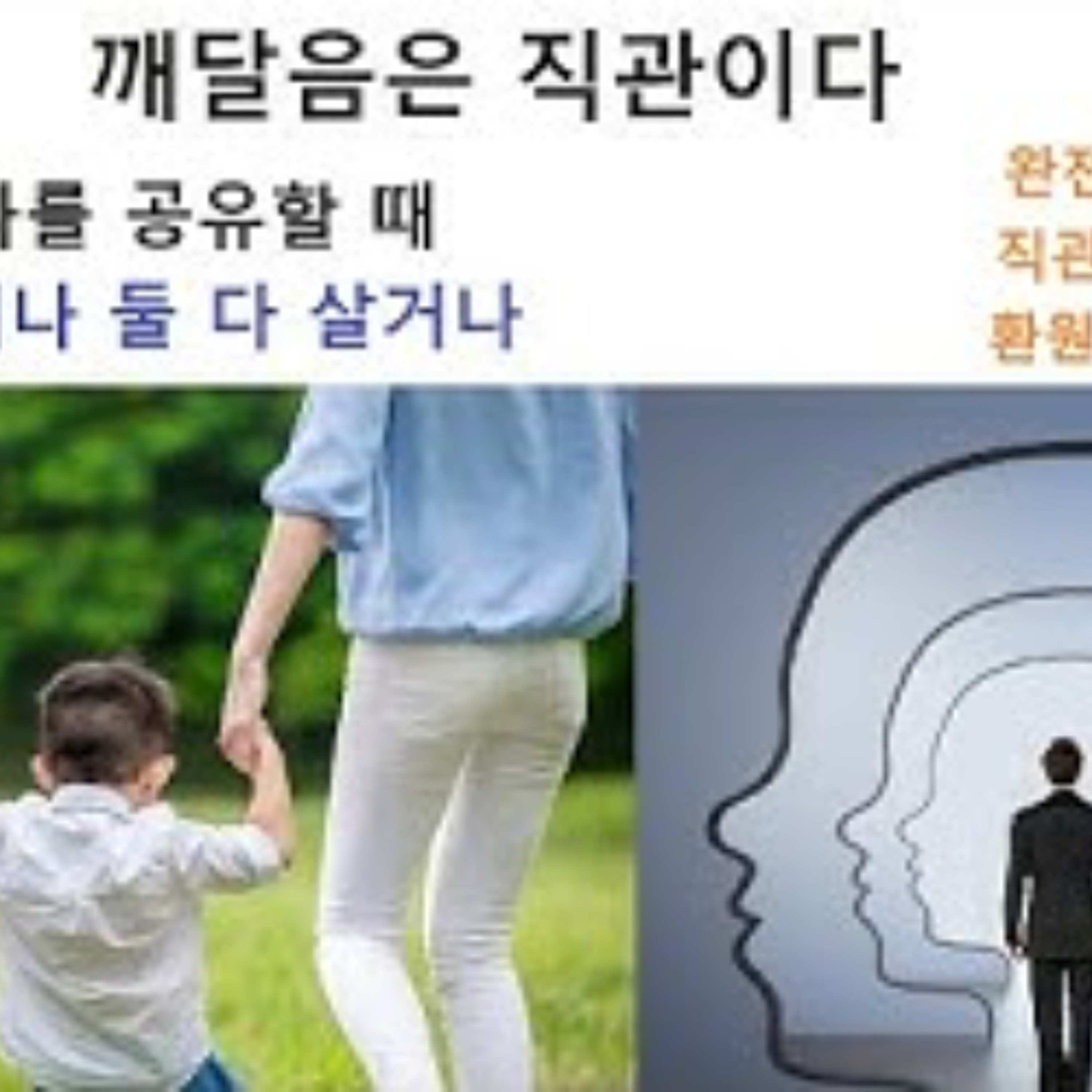 2026-03-15 구조론 생방송 114회, 깨달음은 직관이다