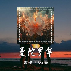 Sasuke - 曼陀罗华 [但从此之后约你出去玩你的回答永远是不方便] 【動態歌詞/pīn yīn gē cí】