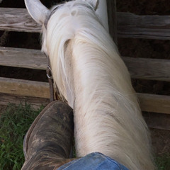 tramp on the street- colter wall