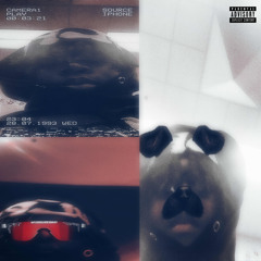 BEEN IN THAT MODE (saesixx n awakeagain)