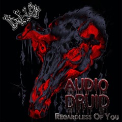 DHS004 Audio Druid - Regardless Of You