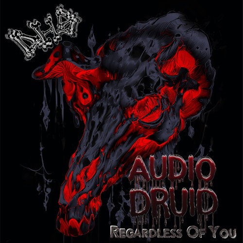 DHS004 Audio Druid - Regardless Of You