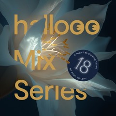 Hallooo Mix Series No.18 – Paul Hillery