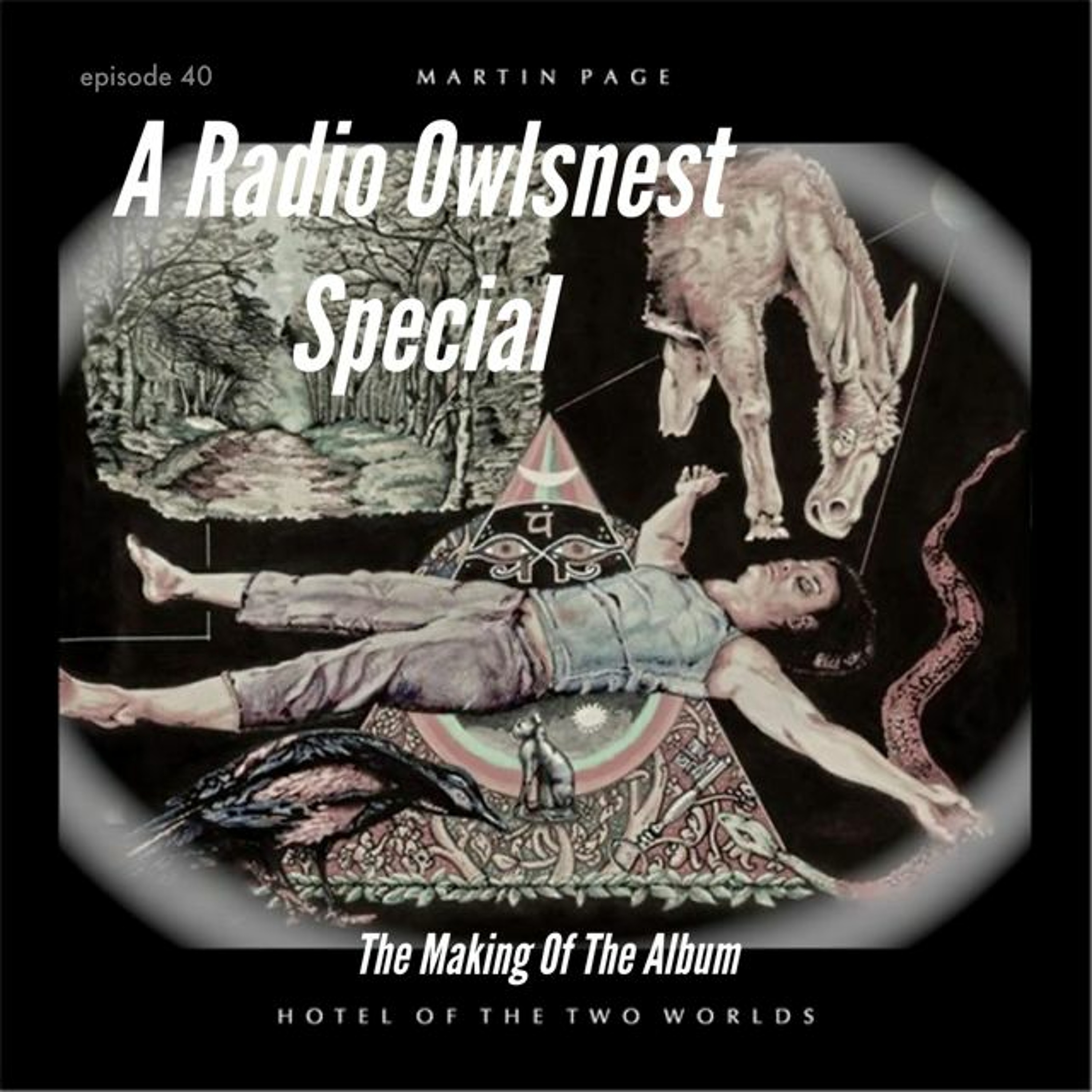 Radio OwlsNest