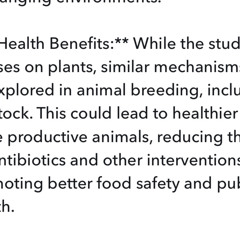 Mothers Kid- Ft Akuma