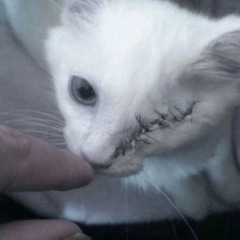 I think youre adorable