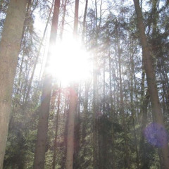 juuvarc - dont get wild (chris finesse exclusives)