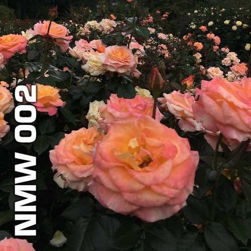 NMW 002 4/7/21
