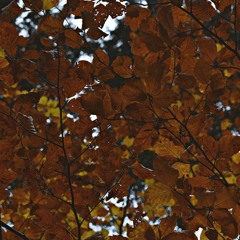 OCTOBER 2023 MIX