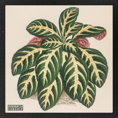 DEFRIC - Make My Day