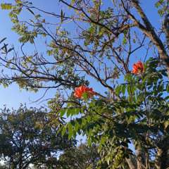 o lugar que te faz querer ficar