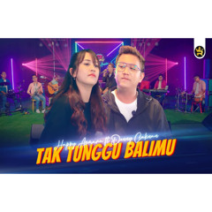 HAPPY ASMARA FT DENNY CAKNAN - TAK TUNGGU BALIMU ( Official Live Music )