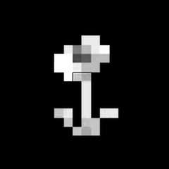 FLOWER {C L I P}