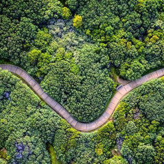 flyin high (prod. moody)