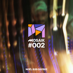 Mosaik #002 Noël b2b GayBee @Geburtstagsgaddnparty
