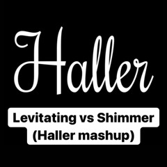 Dua Lipa x Notaker - Levitating vs Shimmer (Haller mashup)