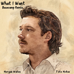 Morgan Wallen, Tate McRae - What I Want (Basecamp Remix)