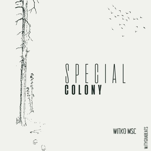 Special Colony - Witko w/TygraBeats