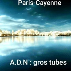 Gros tubes (reprises album)