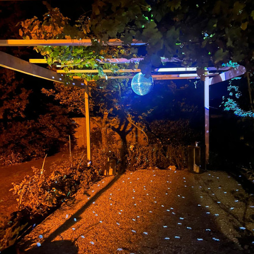 Steve Tee Under The Pergola