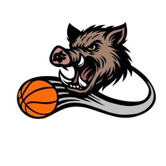 PROTECT🏀🐗