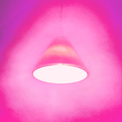 Soft Pink Glow