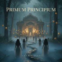 Adam Valey - Primum Principium (Original Mix)