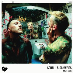 SCHALL & SCHWEISS EP (VNR053)