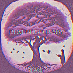B B B