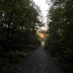 Goodbye is Our New Game