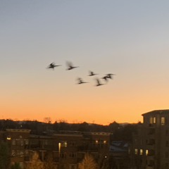 Unity (Welcome Back)